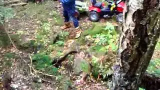 Tr&auml;df&auml;llning med tramptraktor del 3.