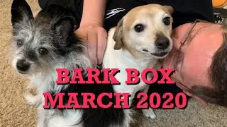 Barkbox March 2020