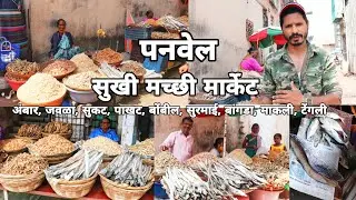 ओल्ड पनवेल रिटेल सुखी मच्छी मार्केट Panvel Dry Fish Market