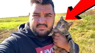 CINEVA a ARUNCAT PISICA Asta la GUNOI! SA o SALVEZ sau NU? Vlog..