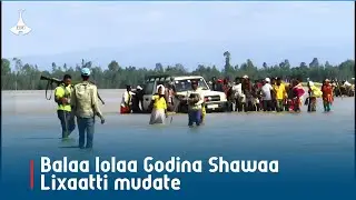 Balaa lolaa Godina Shawaa Lixaatti mudate |flood |Awash| etv |Ebc  |Etv Afaan Oromoo|  |Ethiopia