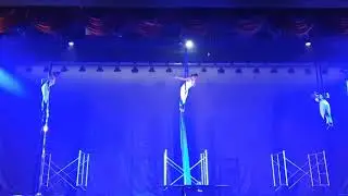 Evolve pole fitness (Aerial silk)