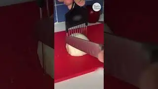 Hair Pick Onion Chopping Hack