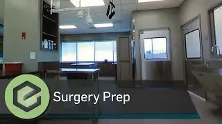 Wheat Ridge Animal Hospital 360 Tour - Surgical Prep