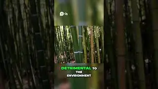 Bamboo: Nature's Air Purifier -Nature's Miracle Plant pt 5