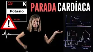 💔 Mucho POTASIO PARA el CORAZ&Oacute;N, pero &iquest;C&Oacute;MO lo hace?