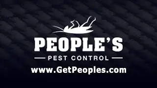 Winter Pest Control And Prevention | GetPeoples.com