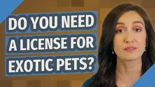Do you need a license for exotic pets?