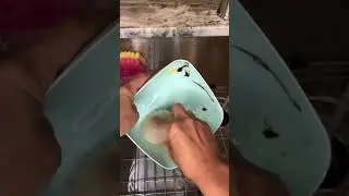 Why I use two sponges at the sink: Clean sponge &ndash; for hand-washing dishes only