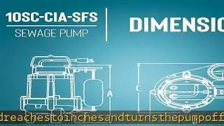 Little Giant 10SC-CIA-SFS 115-Volt, 7200 GPH, 1/2 HP Automatic Cast Iron Sewage/Effluent Pump with