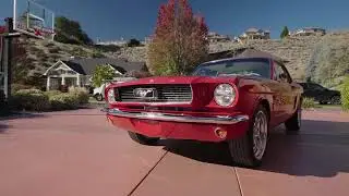 1965 Ford Mustang - ACC Auctions