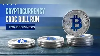 Digital Dollars vs Cryptocurrencies: The Future of Money Explained