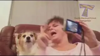 il cane che ringhia mentre fa la foto