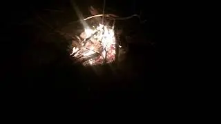 Wild Cherry Tree Campsite Licola 7