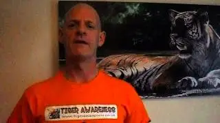 Tiger Awareness Fundraising