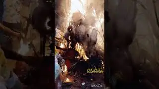 Holi/Holika