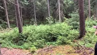 Funktionsbeskrivning Alsterbygdens Torpare