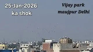 25-Jan-2026 ka shok / Vijay park moujpur delhi /kabutar check karo