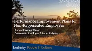 Performance Improvement Plans for Non-represented Employees
