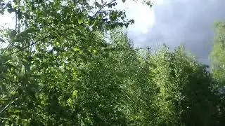 VID 20190617 184730