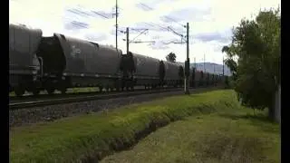G513/C503/44206/44204