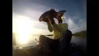 SIGHT Fishing off a KAYAK for REDFISH in the Indian River Lagoon