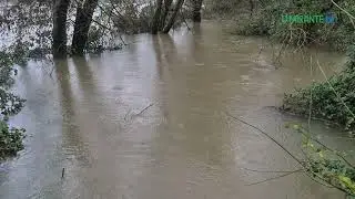 Santar&eacute;m em alerta m&aacute;ximo com evacua&ccedil;&atilde;o obrigat&oacute;ria das zonas ribeirinhas