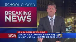Coleman Elementary In Elgin Closed Due To Mold