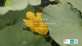 Eau & Bio : &ccedil;a coule de source... en mara&icirc;chage (pastille)