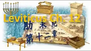 肋未紀 Leviticus 一日一章聖經 lev12 #leviticus #肋未紀 #利未記 #廣東話天主教中文聖經 #cantonesebible #audiobible #靈修生活活水泉耶穌基督