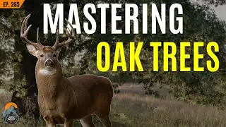 Mastering OAK TREES with Moriah Boggess