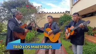 BOGA, BOGA BARQUERO (D.R.A.)