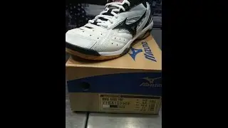 20150204 Mizuno 2015 SS Wave Fang Pro Men Badminton Sneakers 71GA150009 Review