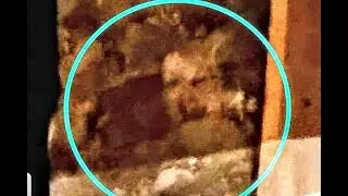 Time Travel & Capturing Spirits Evidence of Both