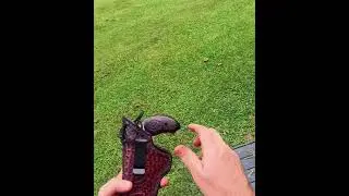 Here is what is going out today: Bond Arms Snake Slayer IV or Cyclops Custom Holster #EDC  #snake