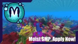 {OPEN!} Minecraft SMP | (APPLY NOW LINK IN DESCRIPTION) | 1.15.2 | Survival MultiPlayer 💧Moist SMP💧
