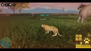 am play every animals in Roblox (savana life)