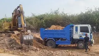 Activities Excavator Digging In Pit With loading Soils Into Dump Trucks