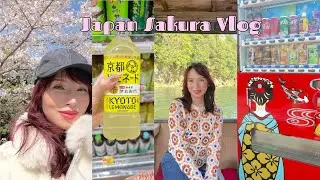 24 hours KYOTO Japan vlog| arashiyama park,tenryuji temple,bamboo forest,cherry blossom boat ride🌸🎋👘
