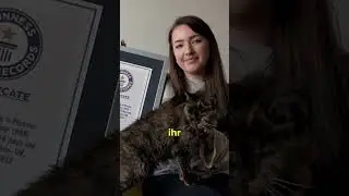 Die &auml;lteste Katze der Welt ist 30 geworden!