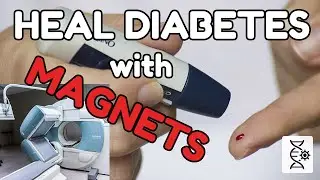Bio Engineering a Diabetes Therapy using Magnets