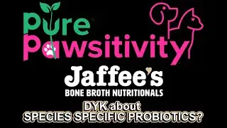 Jaffees Biobroth Probiotics for #,dog #Cats #speciesappropriate #healthypets #petwellness #catdaddy