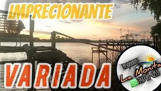 🇦🇷FIESTA DE DORADOS/BOGAS Y AMARILLOS GIGANTES/PESQUEROS LA MONITA