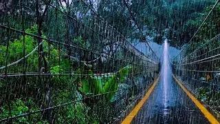 The Weird Connection Between ASMR Rain and Thunder That Changed My Nightly Routine