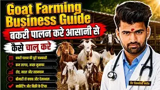 बकरी पालन करे आसानी से || Goat farming business guide hindi | goat farming || पूरी जानकारी 