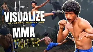 Visualization For Winning The Fight 🥷