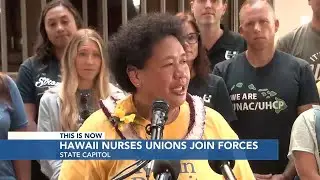 Nurses, advocates call for mandated patient care standards in Hawaii