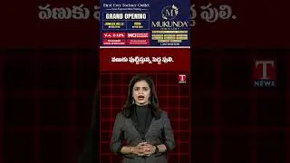 వణుకు పుట్టిస్తున్న పెద్ద పులి...#tnews