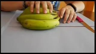 Proyecto biolog&iacute;a.
