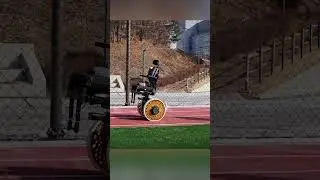 These wheels 